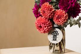 最新梯子方法稳定的安卓手机苹果ios梯子目前可以用的付费加速器vnp软件国外机场排行榜-机场节点购买