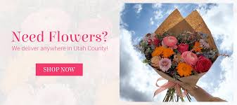 5个最好用的国外机场-基于多方性能综合对比-机场节点购买