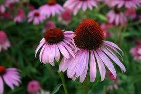 5个最好用的国外收费机场-基于多方性能综合对比-机场节点购买