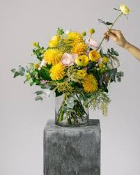 Best 机场 For MacOS-机场节点购买