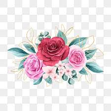 Express机场测评和速度测试-机场节点购买