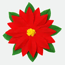 Express机场评测--知乎推荐国外最好的付费机场安卓苹果ios手机梯子软件-机场节点购买