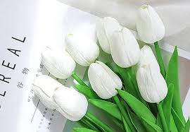 Express机场同时支持多少台设备登陆使用-机场节点购买