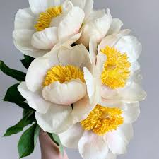 How to setup Express机场 on Android in 5 minutes?-机场节点购买