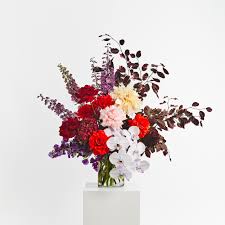 How to setup Express机场 on Mac in 5 minutes?-机场节点购买