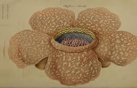 How to Unblock Netease Cloud Music On PC, Android, iPhone-机场节点购买