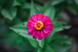 Iphone苹果ios梯子机场推荐 （年中国国内实测）-机场节点购买