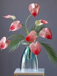 iPhone手机如何设置机场梯子？-机场节点购买