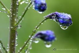 Ivacy 机场 评测——极具性价比的国外机场-机场节点购买