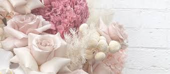 Pure 机场 深度评测-机场节点购买