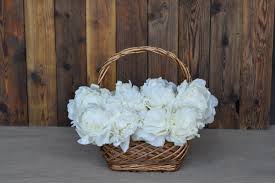 Pure机场深度评测－最好用的梯子机场推荐-机场节点购买