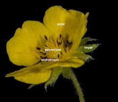 国际10强机场服务商-机场节点购买