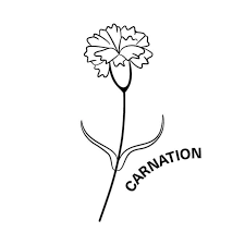 机场排行榜——国外品牌 机场 推荐-机场节点购买