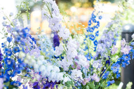 如何访问 Google？使用机场解锁-机场节点购买