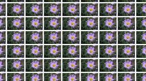 如何访问 Google？使用哪些能用的机场梯子软件上谷歌-机场节点购买