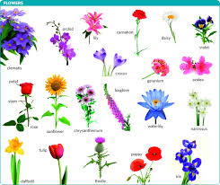 收费机场推荐-机场节点购买