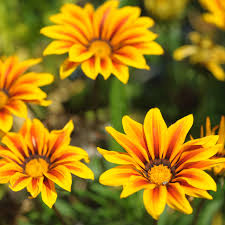 推荐3个iPhone, iPad 机场 App提供中国大陆机场梯子回国内听音乐看视频-机场节点购买