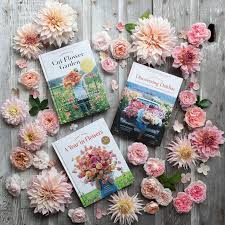 稳定好用的印度机场推荐最好的梯子梯子软件排名-机场节点购买