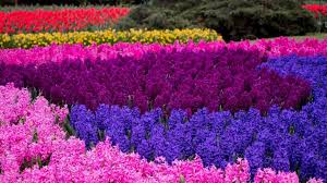 稳定可以用Mac最好的国外机场软件排名-机场节点购买