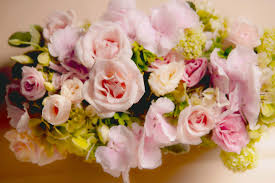 怎么上facebook？哪些手机梯子机场软件还可以用-机场节点购买