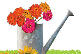 知乎梯子推荐国内外付费梯子软件推荐稳定的收费梯子苹果iphone手机安卓手机梯子SS推荐-机场节点购买