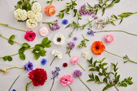 知乎推荐 国外最好的Top 10付费机场推荐网（稳定的SS推荐）-机场节点购买