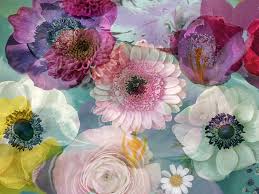 中国国内最好用的收费机场推荐-机场节点购买