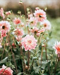 中国还能用的 机场 推荐国外收费机场推荐排行榜-机场节点购买