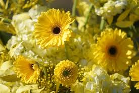 最好的Top 10 免费机场（梯子软件）官网（国内）知乎 免费机场推荐-机场节点购买