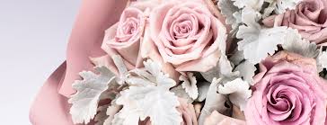 最好的梯子路由器机场推荐比较-机场节点购买