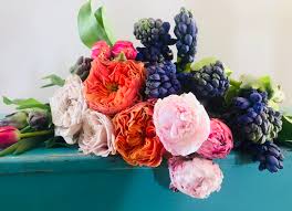 最好用的谷歌Chrome梯子插件推荐-机场节点购买